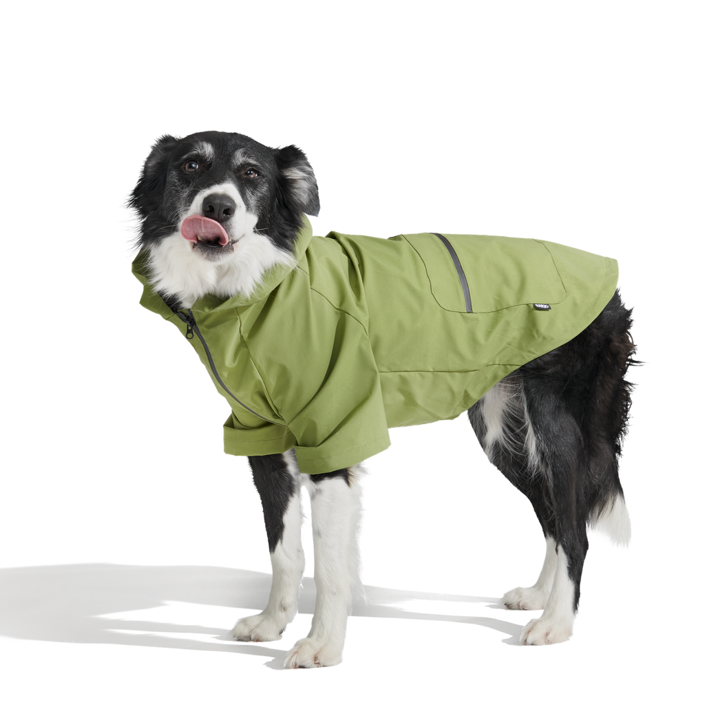The Dry Dog Raincoat