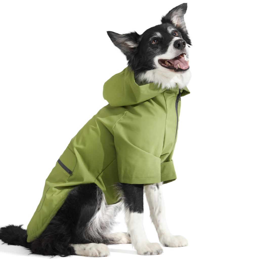 The Dry Dog Raincoat