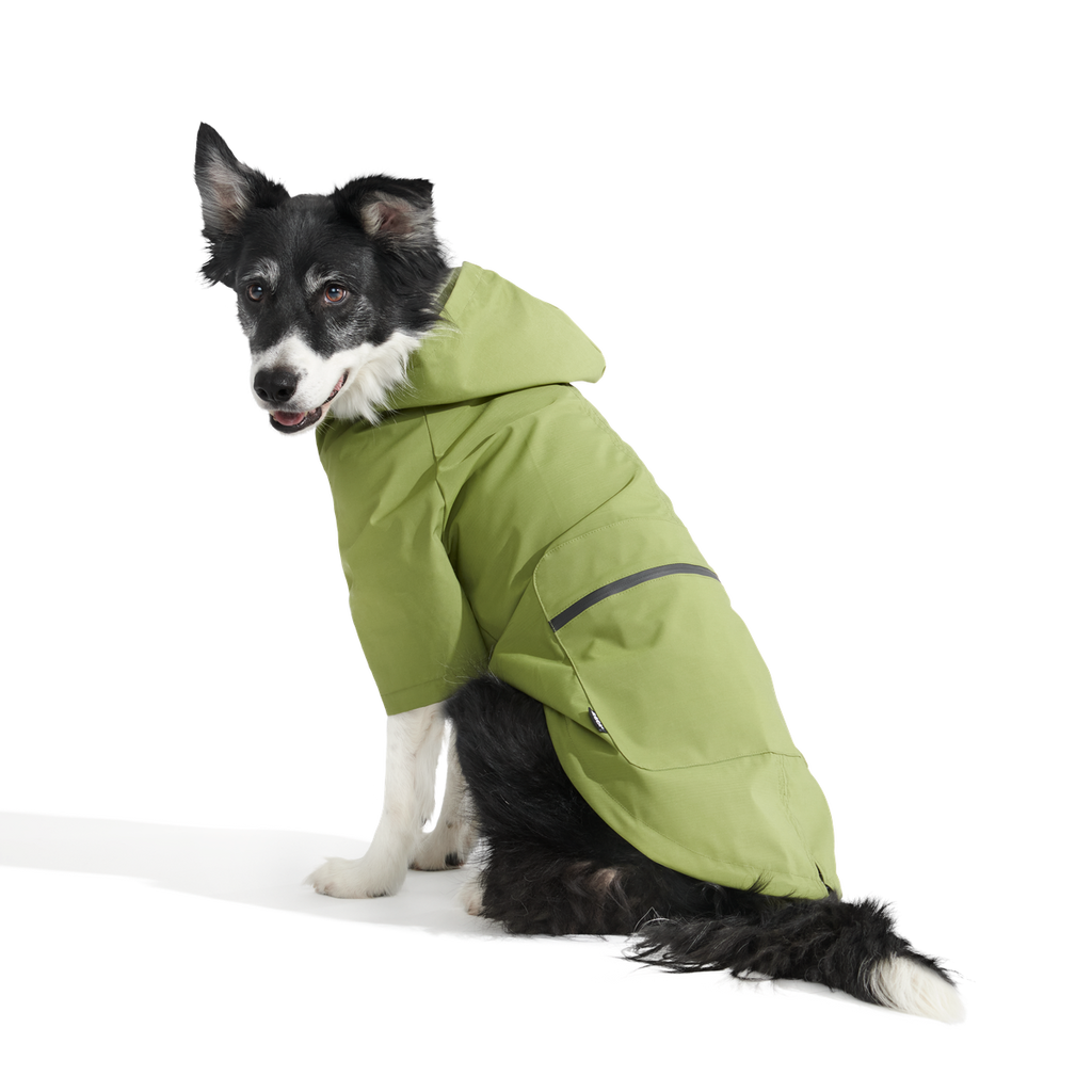 The Dry Dog Raincoat