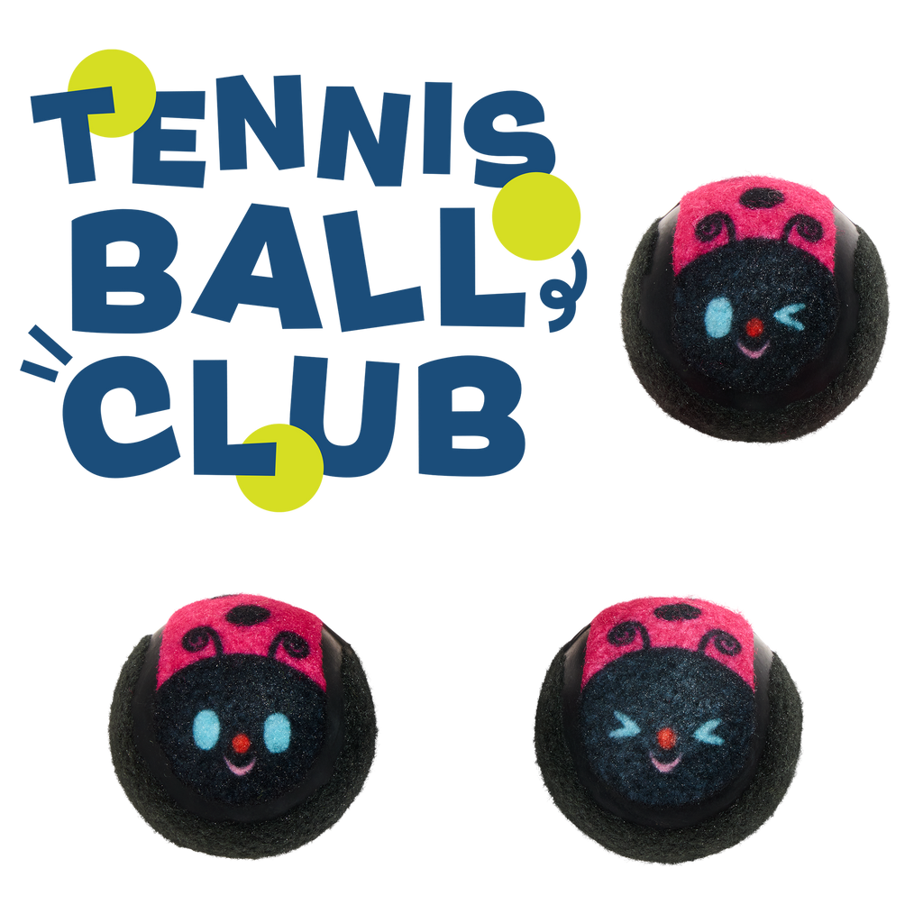 Tennis Ball Club, 3 Squeaky Monthly Tennis Ball Dog Toys