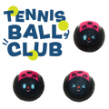 Tennis Ball Club, 3 Squeaky Monthly Tennis Ball Dog Toys