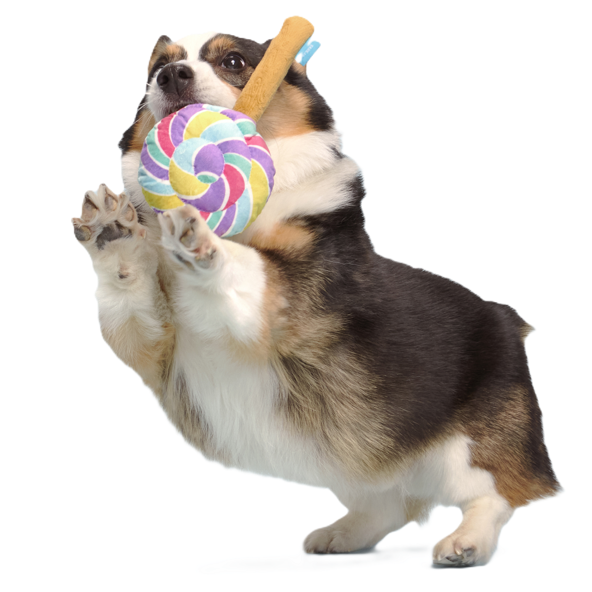 Lick-A-Lot Lollipop Plush Tug Dog Toy