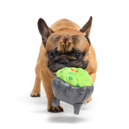 Stop, Guac, & Mole Plush Dog Toy