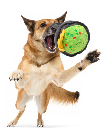 Stop, Guac, & Mole Plush Dog Toy