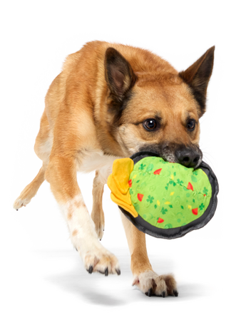 Stop, Guac, & Mole Plush Dog Toy