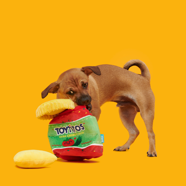 Yip & Salsa Plush Multi-Part Dog Toy