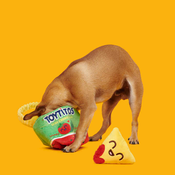 Yip & Salsa Plush Multi-Part Dog Toy