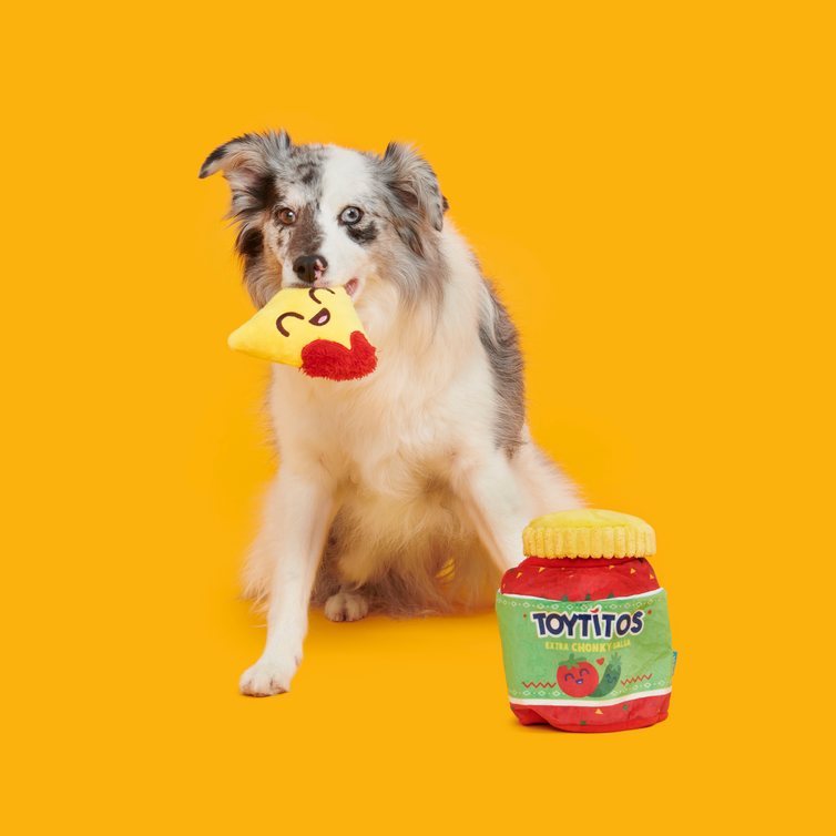 Yip & Salsa Plush Multi-Part Dog Toy