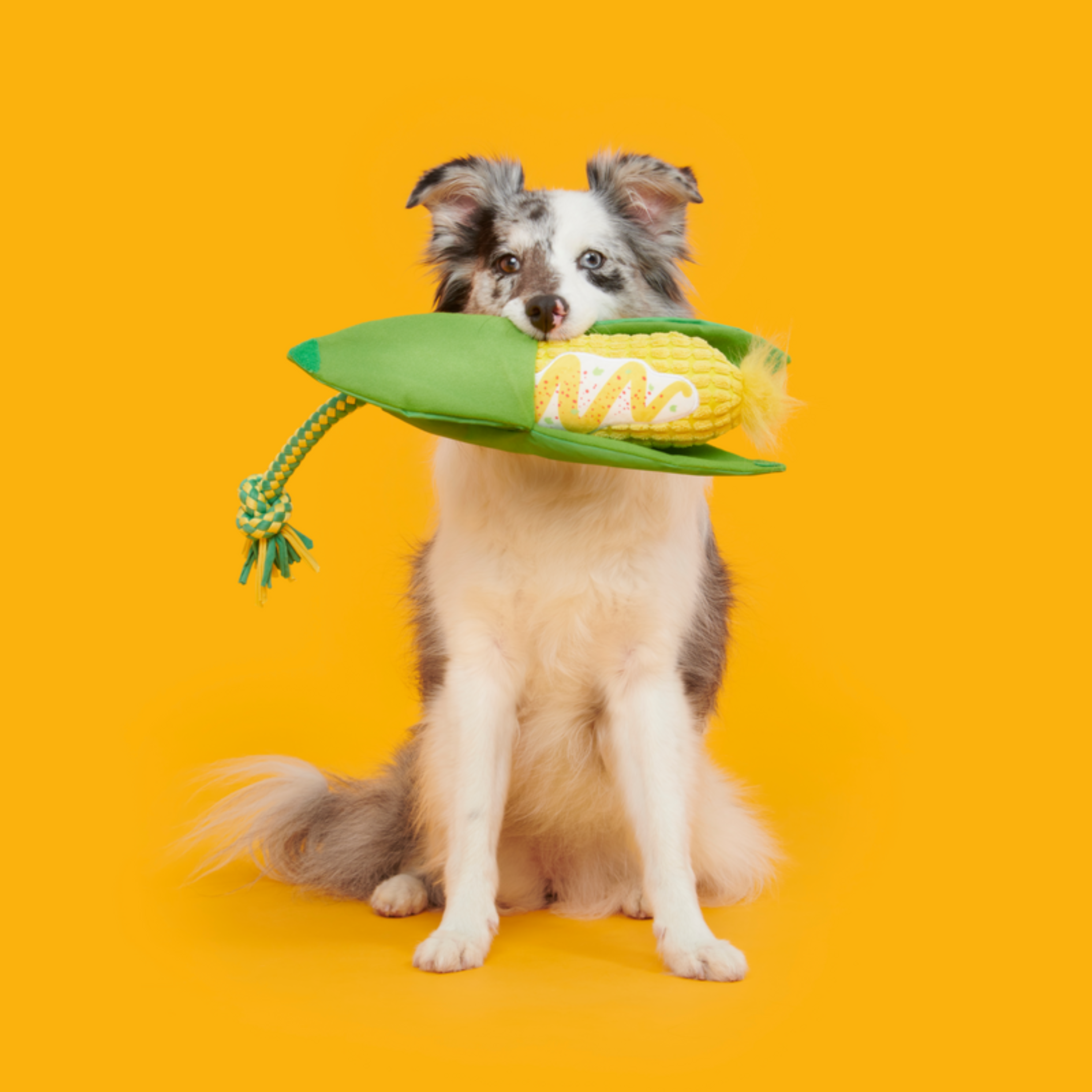 Elote Fun Corn Plush Tug Dog Toy