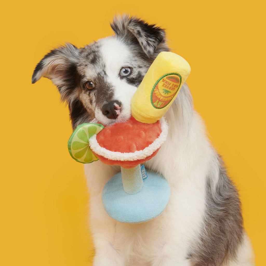 Bulldog Barkarita Plush Tug Dog Toy