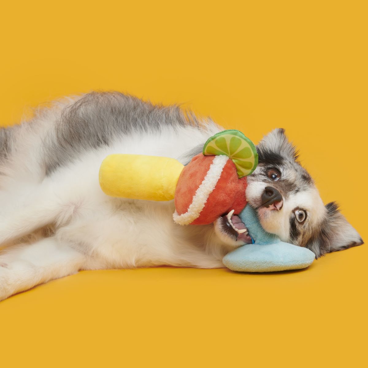 Bulldog Barkarita Plush Tug Dog Toy