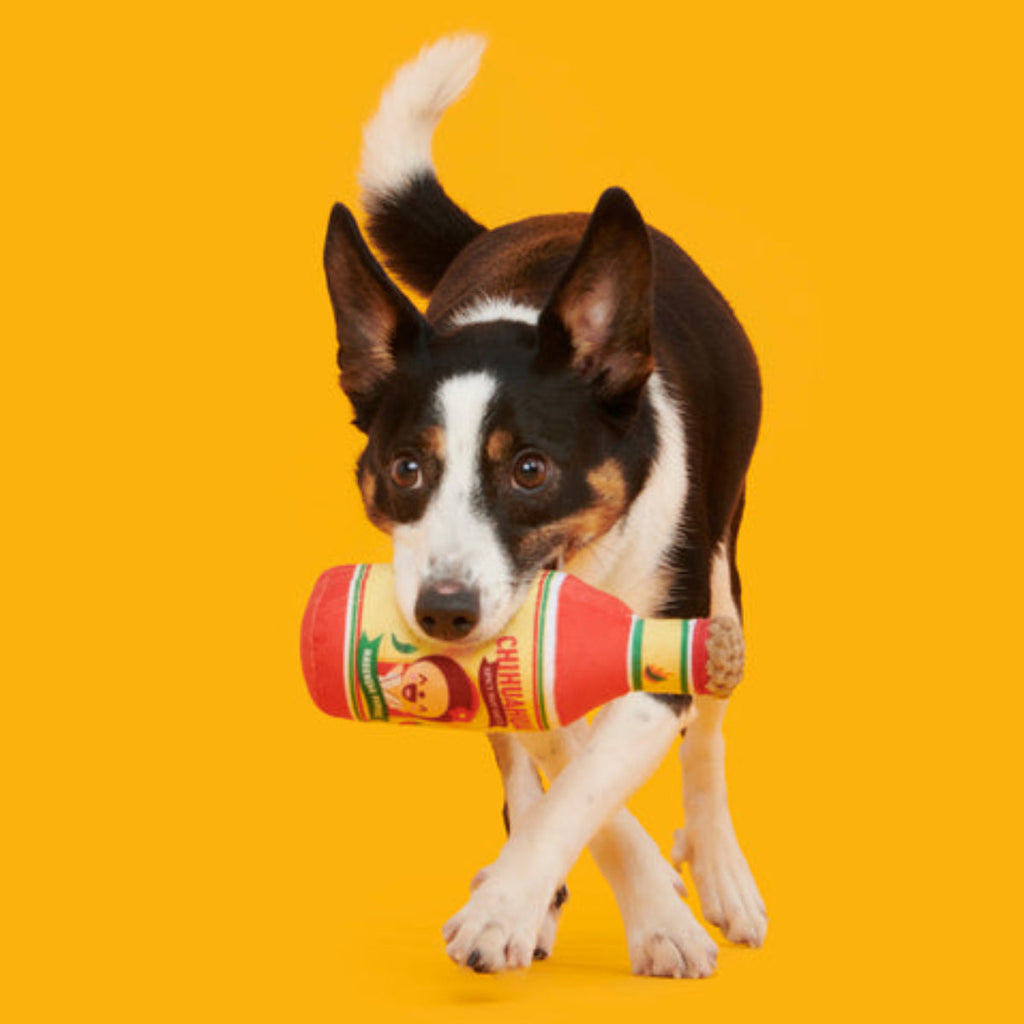 Chihuahua Hot Sauce Plush Tug Dog Toy