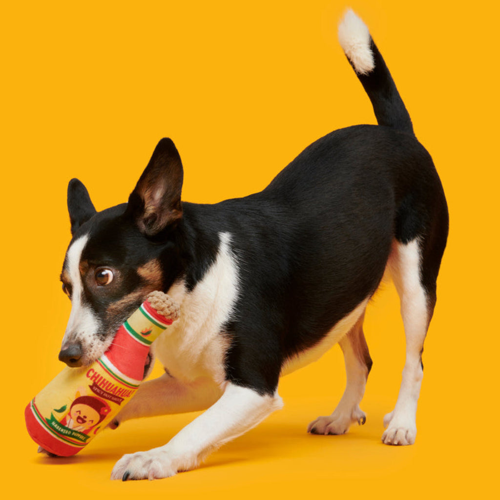 Chihuahua Hot Sauce Plush Tug Dog Toy