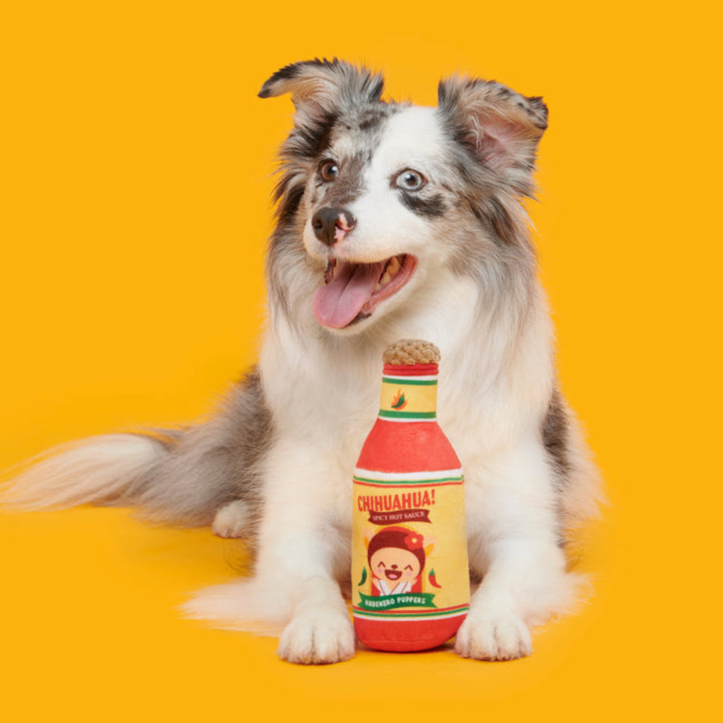 Chihuahua Hot Sauce Plush Tug Dog Toy