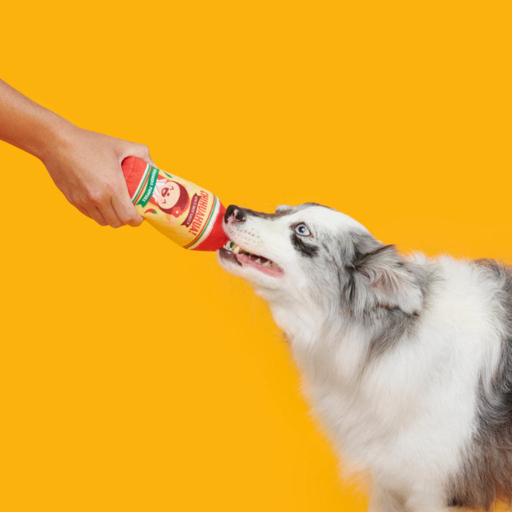 Chihuahua Hot Sauce Plush Tug Dog Toy