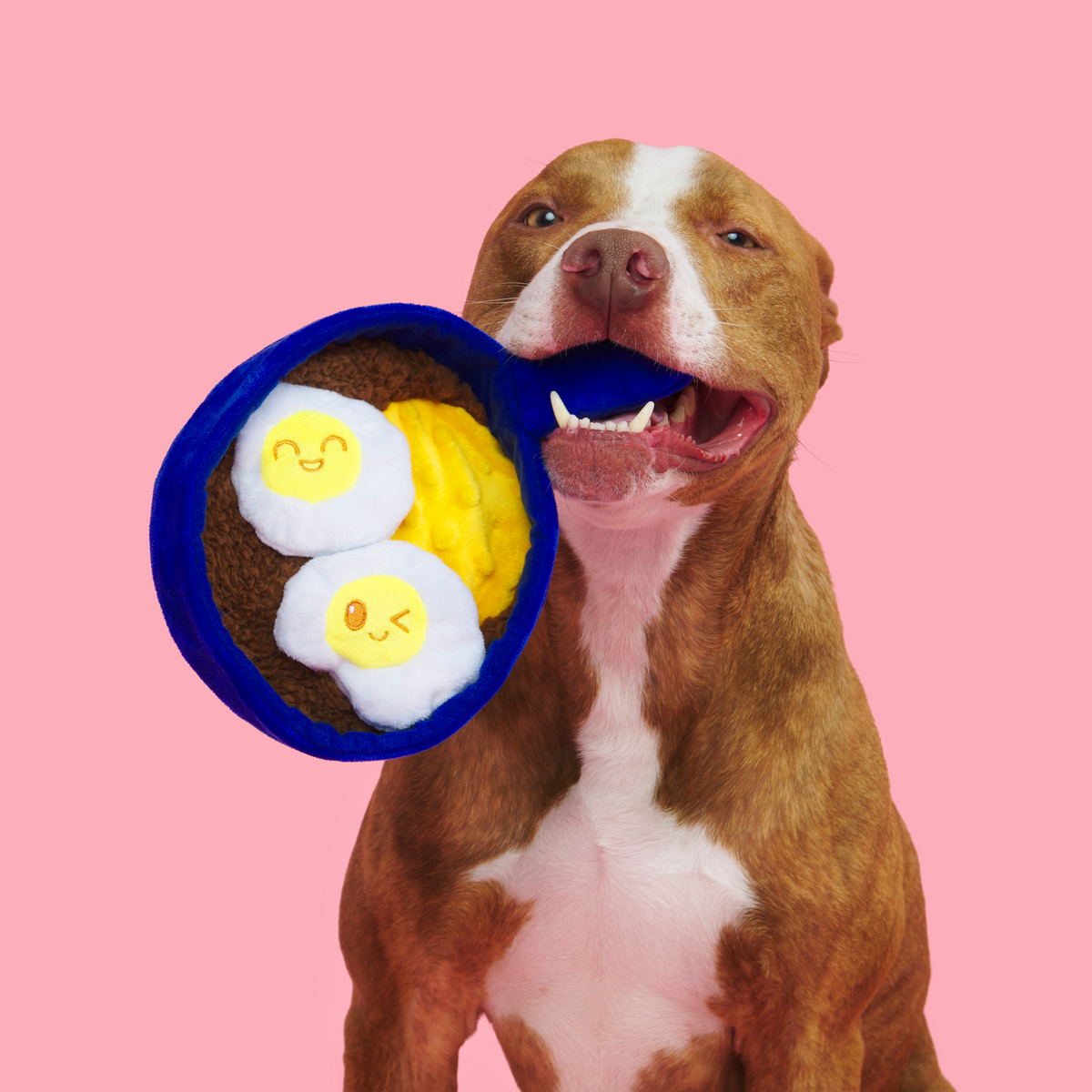 Waggos Rancheros Plush Tug Dog Toy