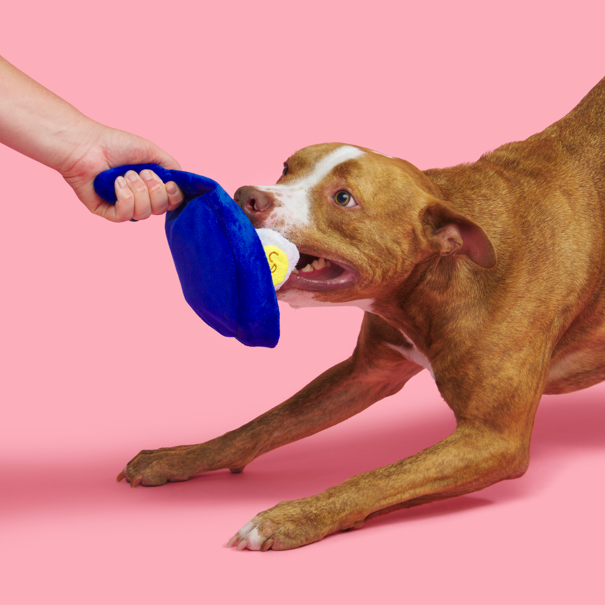 Waggos Rancheros Plush Tug Dog Toy