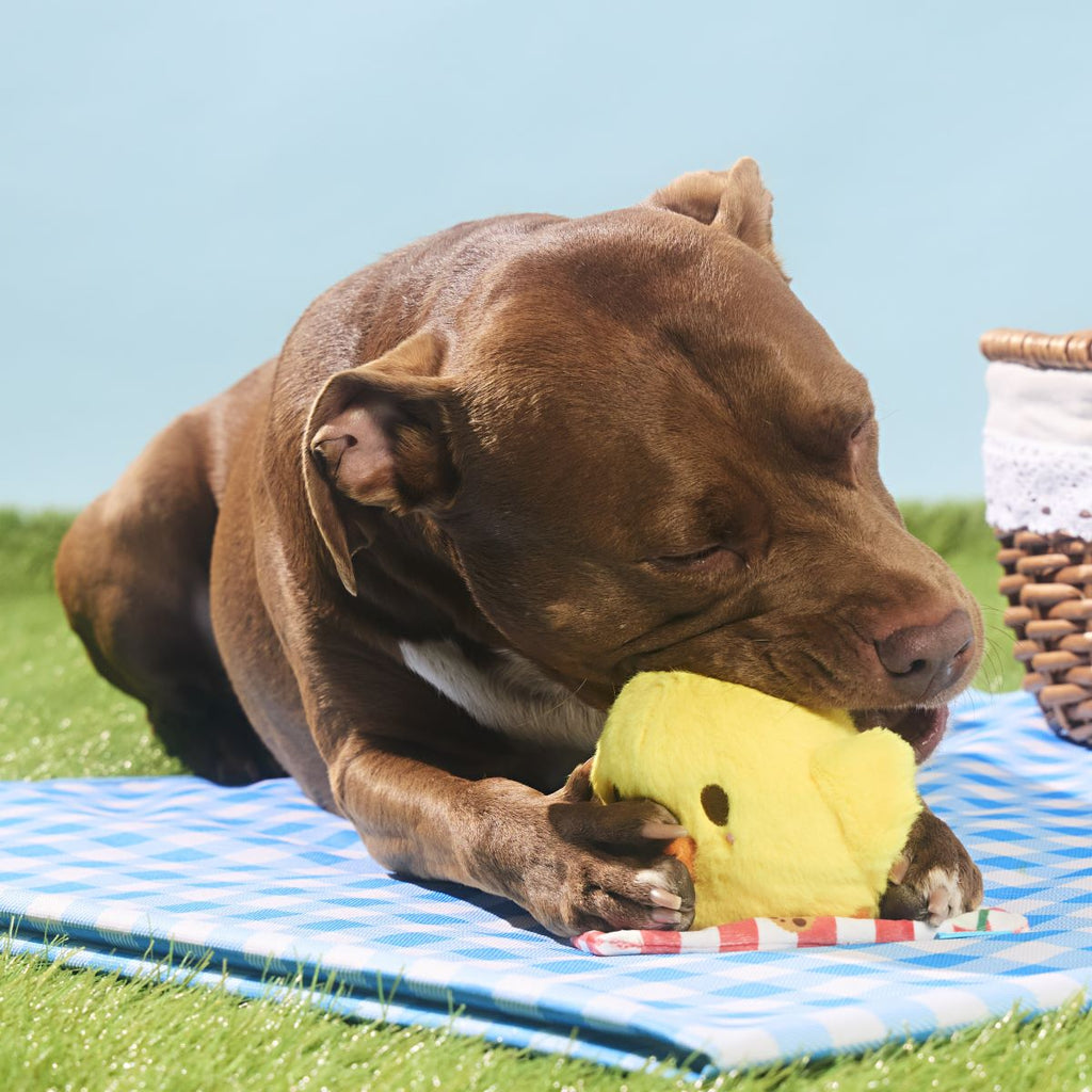 Chick-Nic Plush Tug Dog Toy