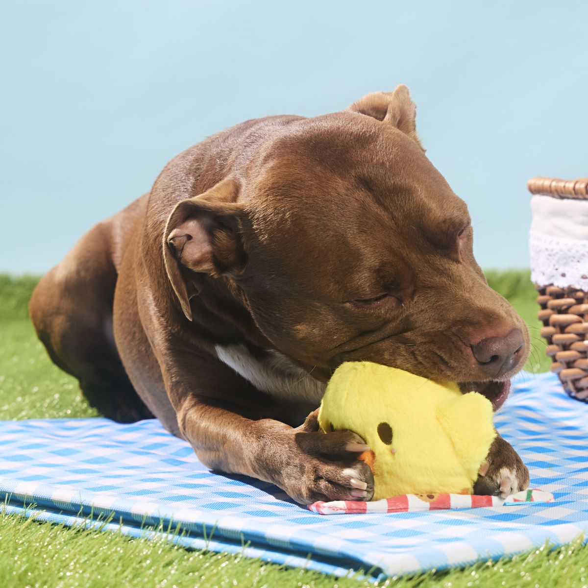 Chick-Nic Plush Tug Dog Toy