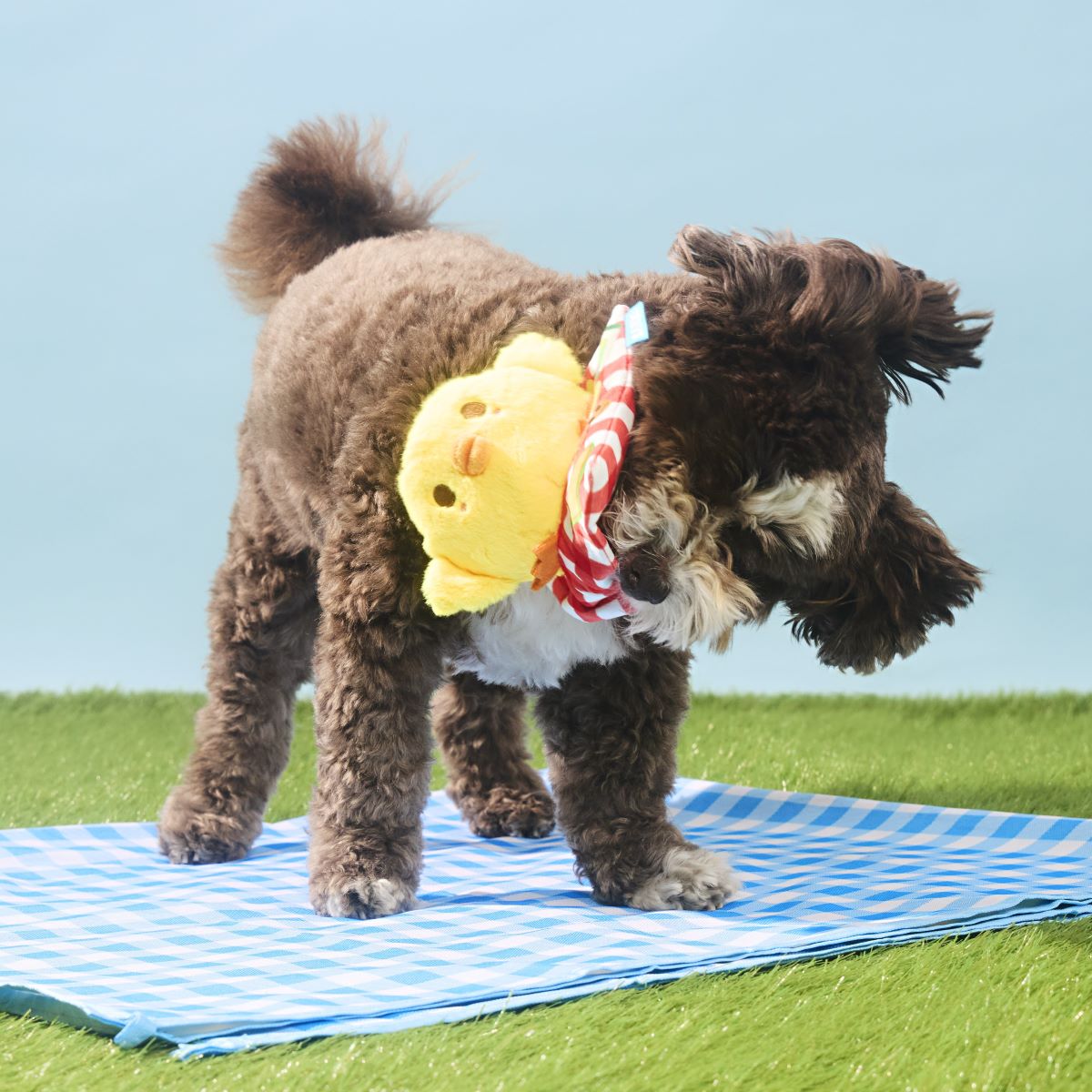 Chick-Nic Plush Tug Dog Toy