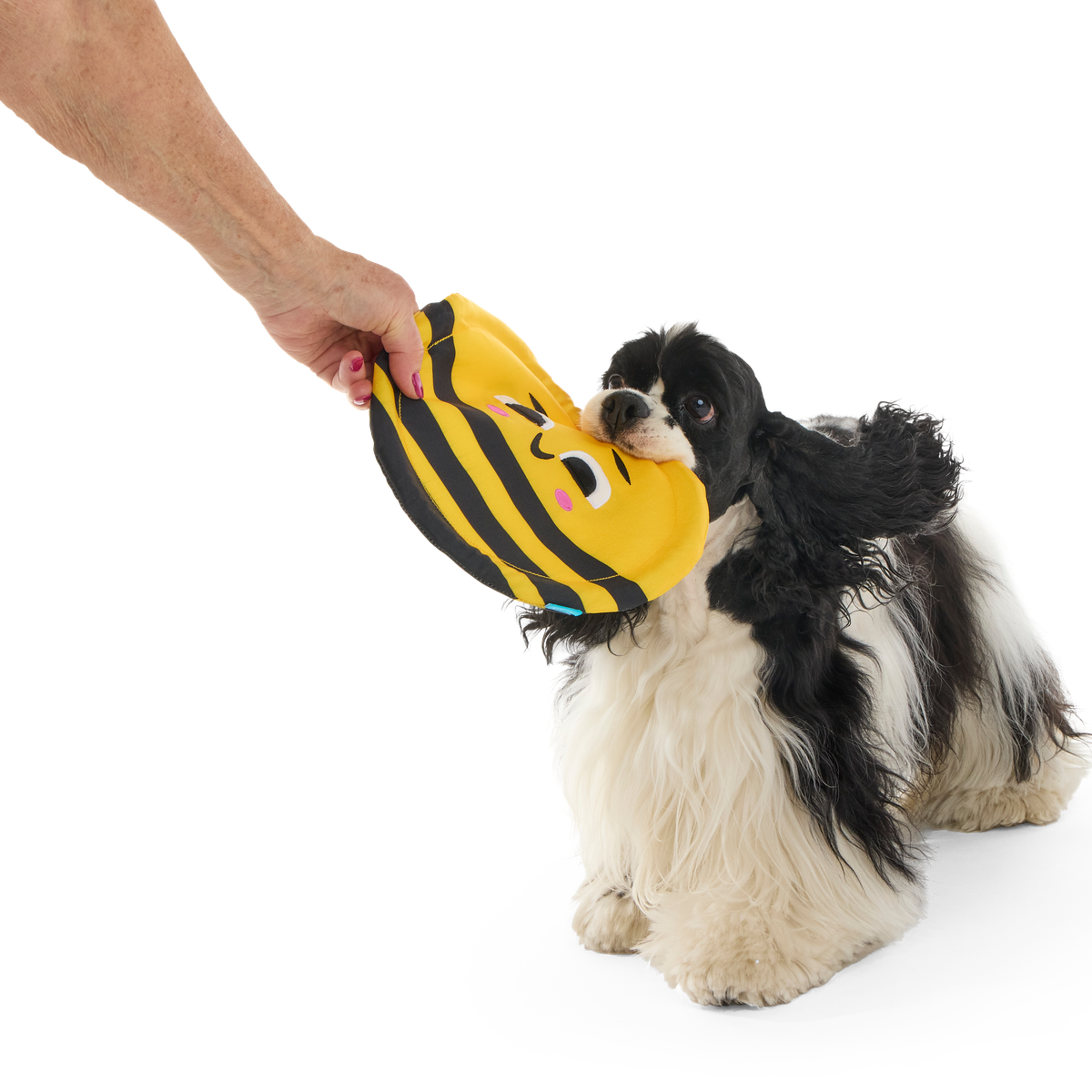 Fritz Bee Fetch Dog Toy