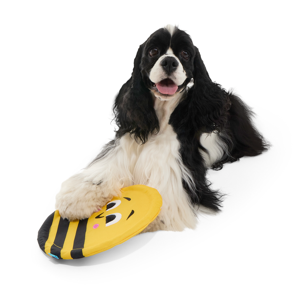 Fritz Bee Fetch Dog Toy