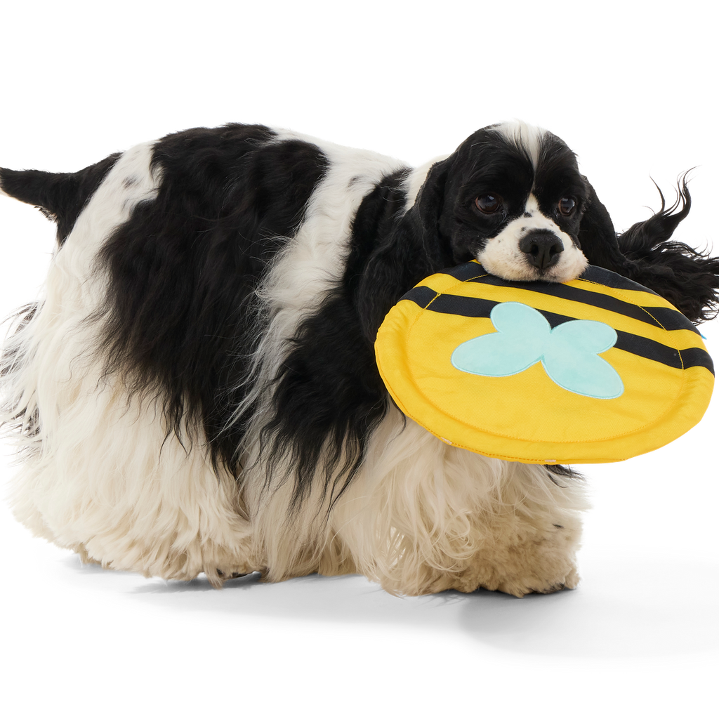 Fritz Bee Fetch Dog Toy