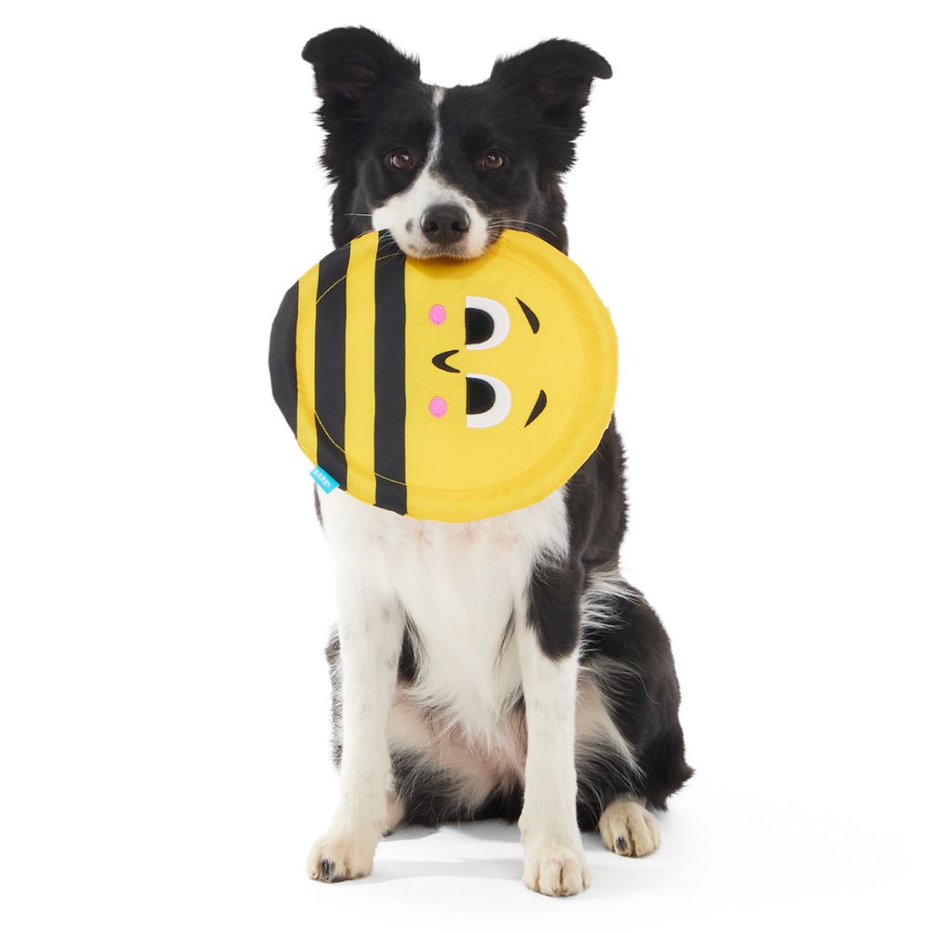 Fritz Bee Fetch Dog Toy