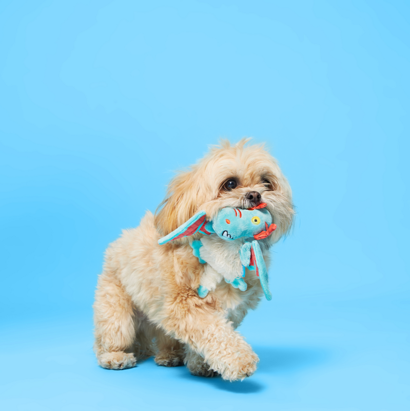 Grimbold the Dragon Plush Tug Dog Toy