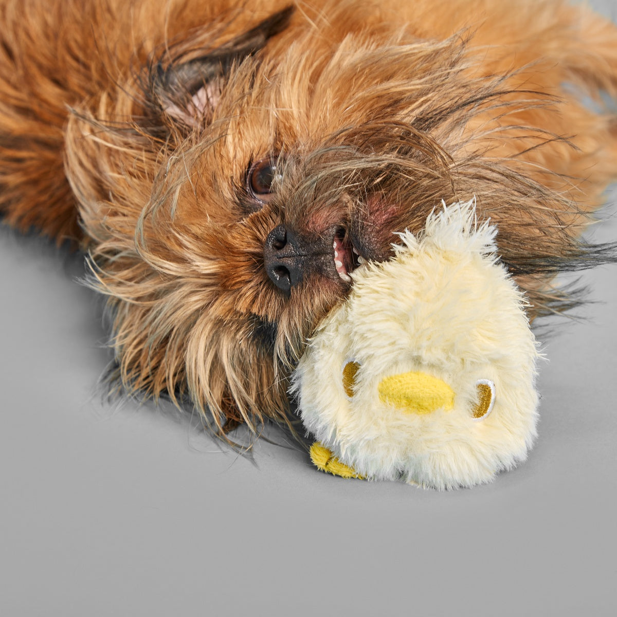 Tough Chick Super Chewer Durable 2-in-1 Dog Toy