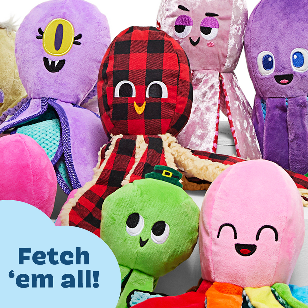 Ollie the Octopus Club, Plush Tug Monthly Dog Toys