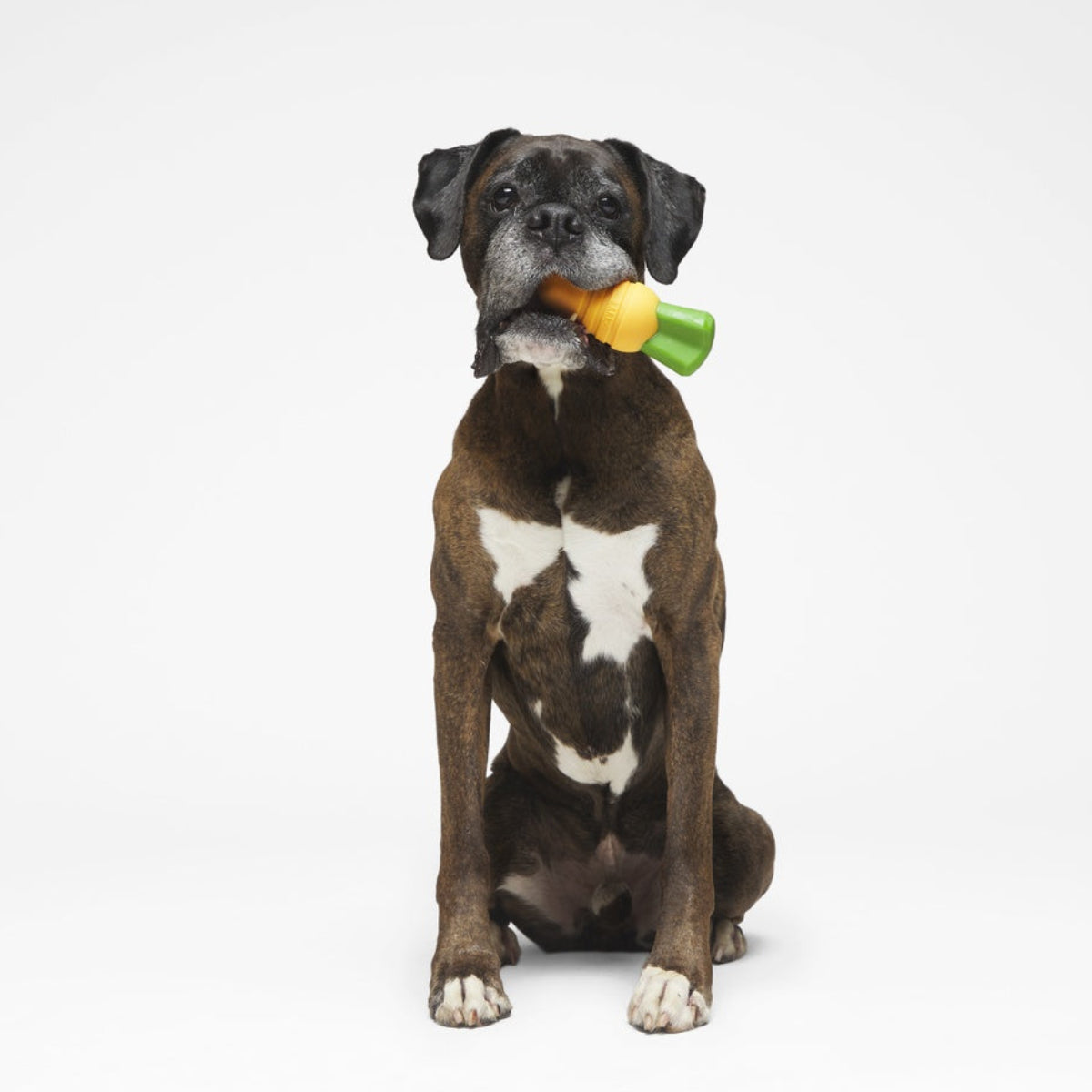 Carrot Durable Super Chewer Gnaw Dog Toy