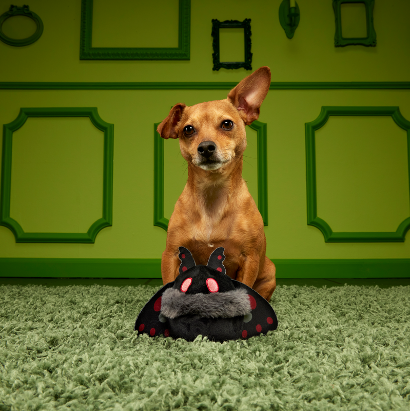 Mothmutt Super Chewer Durable 2-in-1 Enrichment Dog Toy