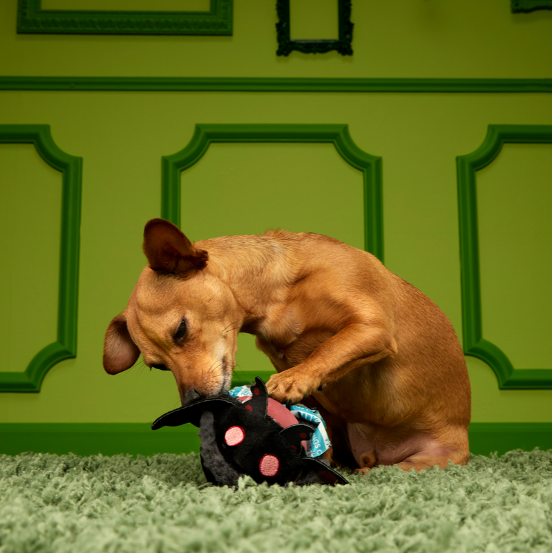 Mothmutt Super Chewer Durable 2-in-1 Enrichment Dog Toy