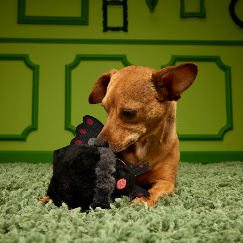 Mothmutt Super Chewer Durable 2-in-1 Enrichment Dog Toy