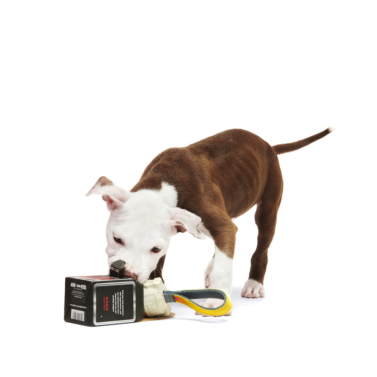 Star Wars™ Droid Smugglers Club, Super Chewer Durable Monthly Dog Toys