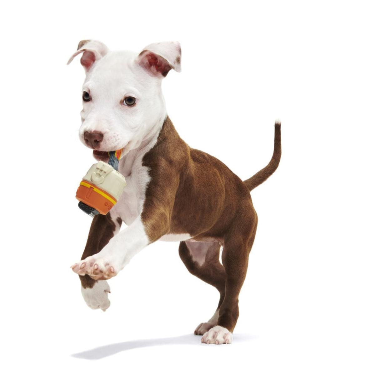 Star Wars™ Droid Smugglers Club, Super Chewer Durable Monthly Dog Toys