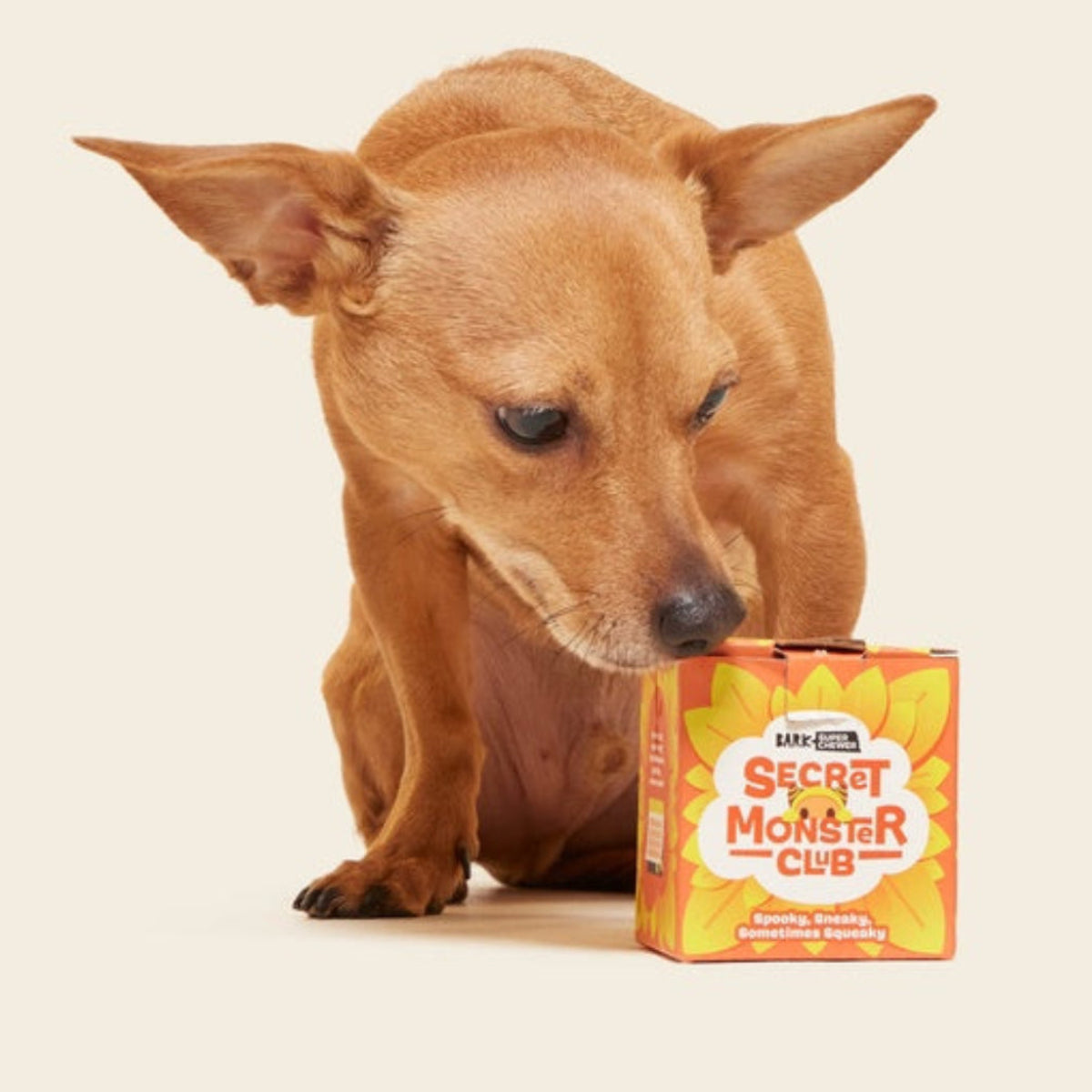 Secret Monster Club, Super Chewer Durable 2-in-1 Rip and Reveal Monthly Dog Toys