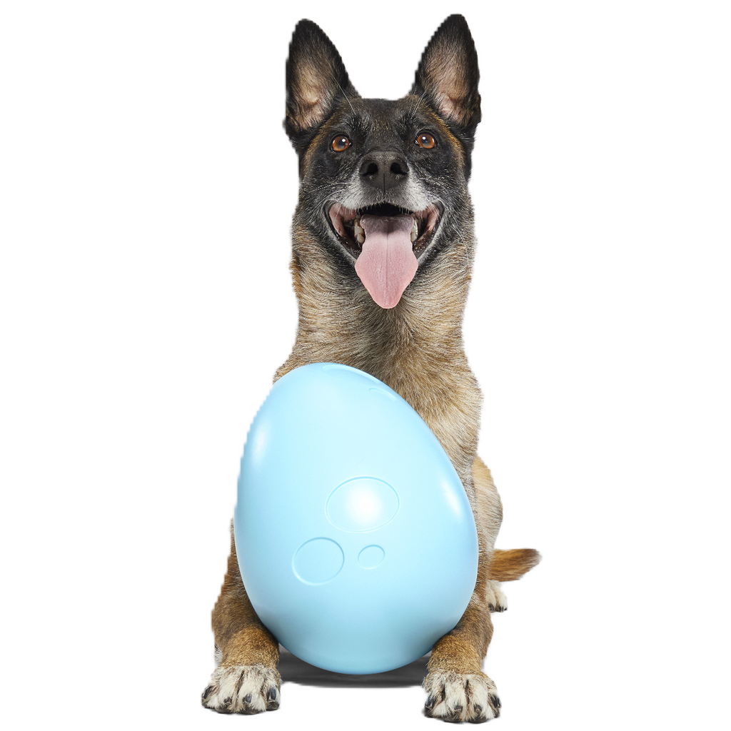 Eggstra Large Easter Egg Durable Super Chewer Fetch + Extra-Large Dog Toy