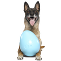 Eggstra Large Easter Egg Durable Super Chewer Fetch + Extra-Large Dog Toy