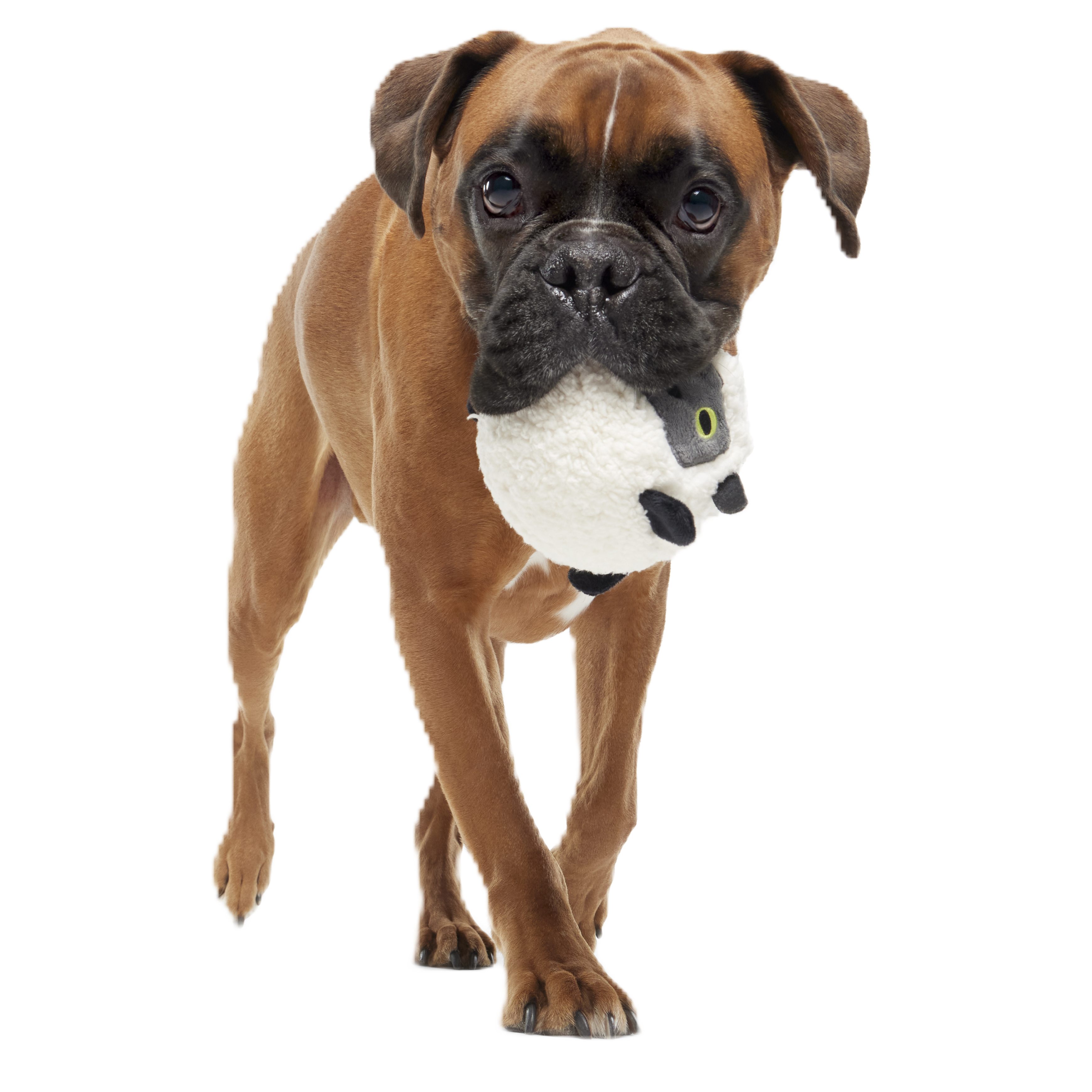 Little Bo Pup Super Chewer Durable Fetch + 2-in-1 Dog Toy