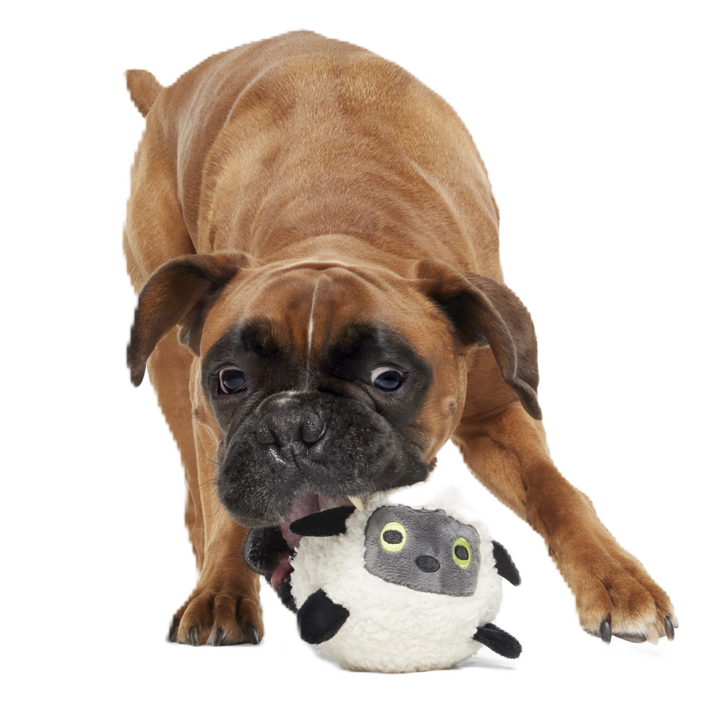 Little Bo Pup Super Chewer Durable Fetch + 2-in-1 Dog Toy