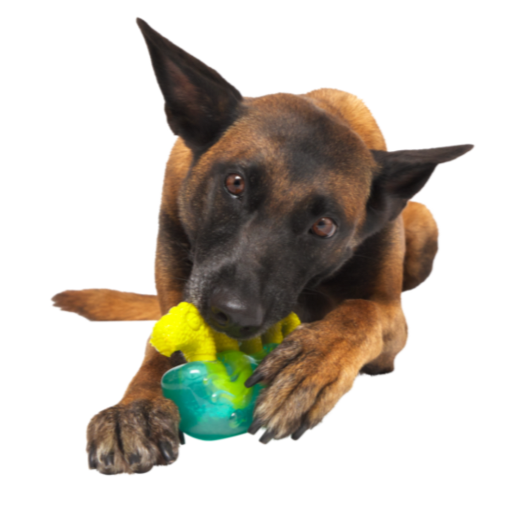 The Dogness Monster Super Chewer Durable Gnaw Dog Toy