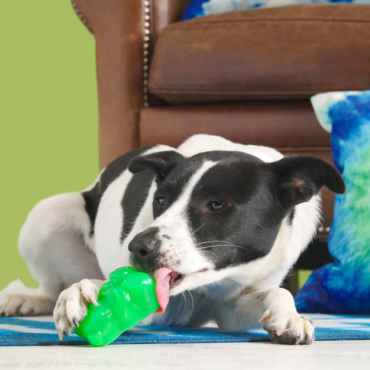 Gummy Buddy Super Chewer Durable Multi-Part + Enrichment Dog Toy