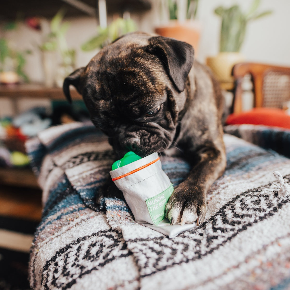 Gummy Buddy Super Chewer Durable Multi-Part + Enrichment Dog Toy