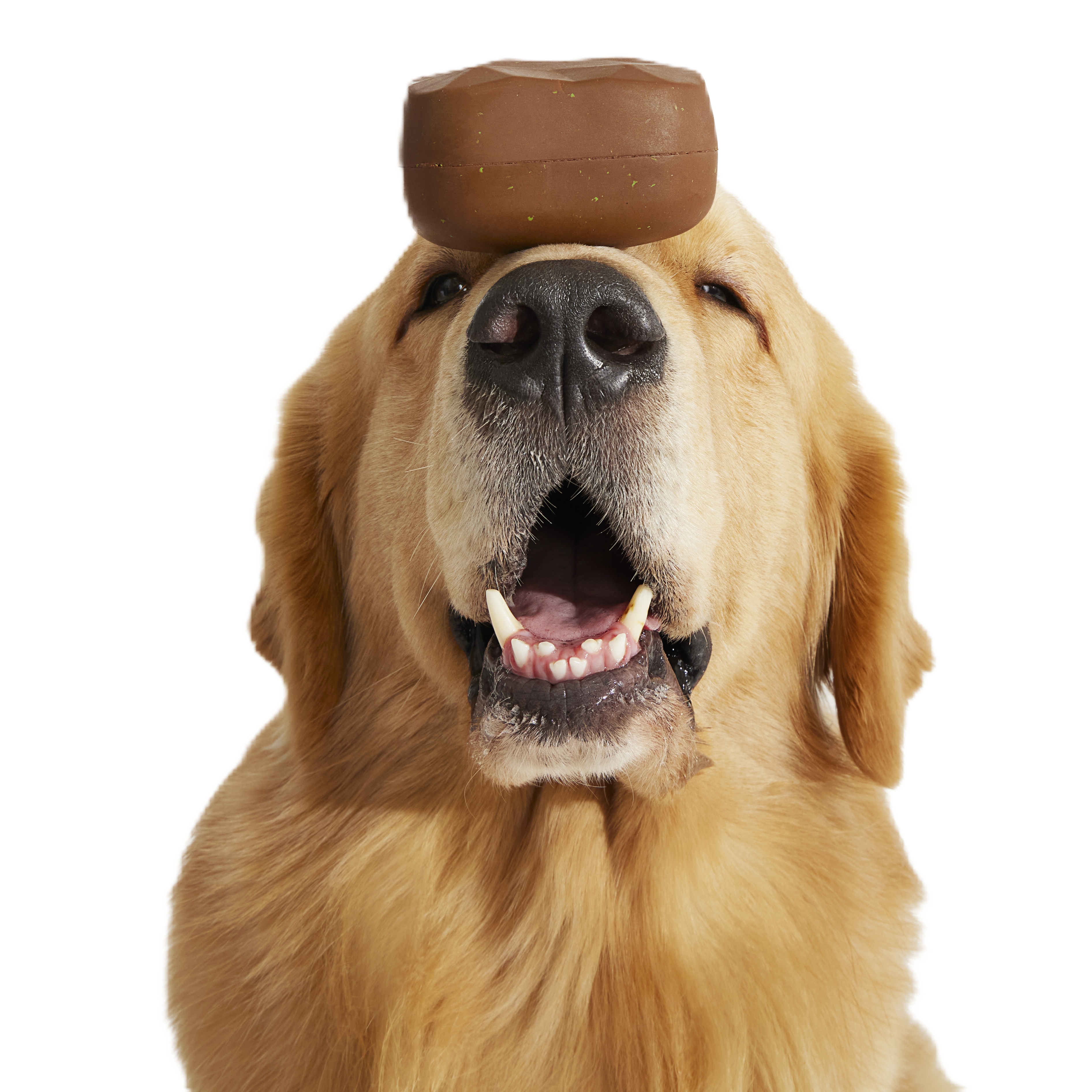 Baaaked Brownie Super Chewer Durable Fetch Dog Toy