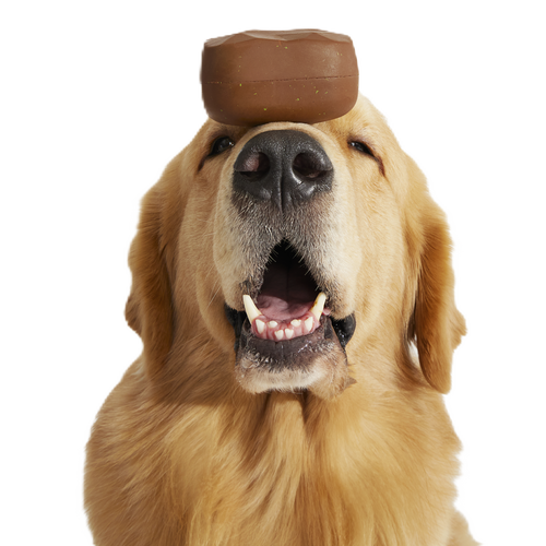 Baaaked Brownie Super Chewer Durable Fetch Dog Toy