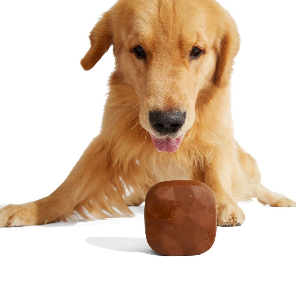 Baaaked Brownie Super Chewer Durable Fetch Dog Toy