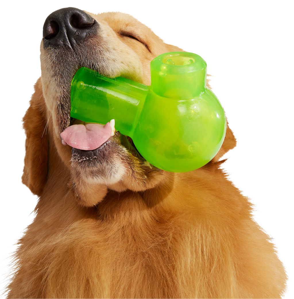 Snack Packed Bong Super Chewer Durable Enrichment Dog Toy