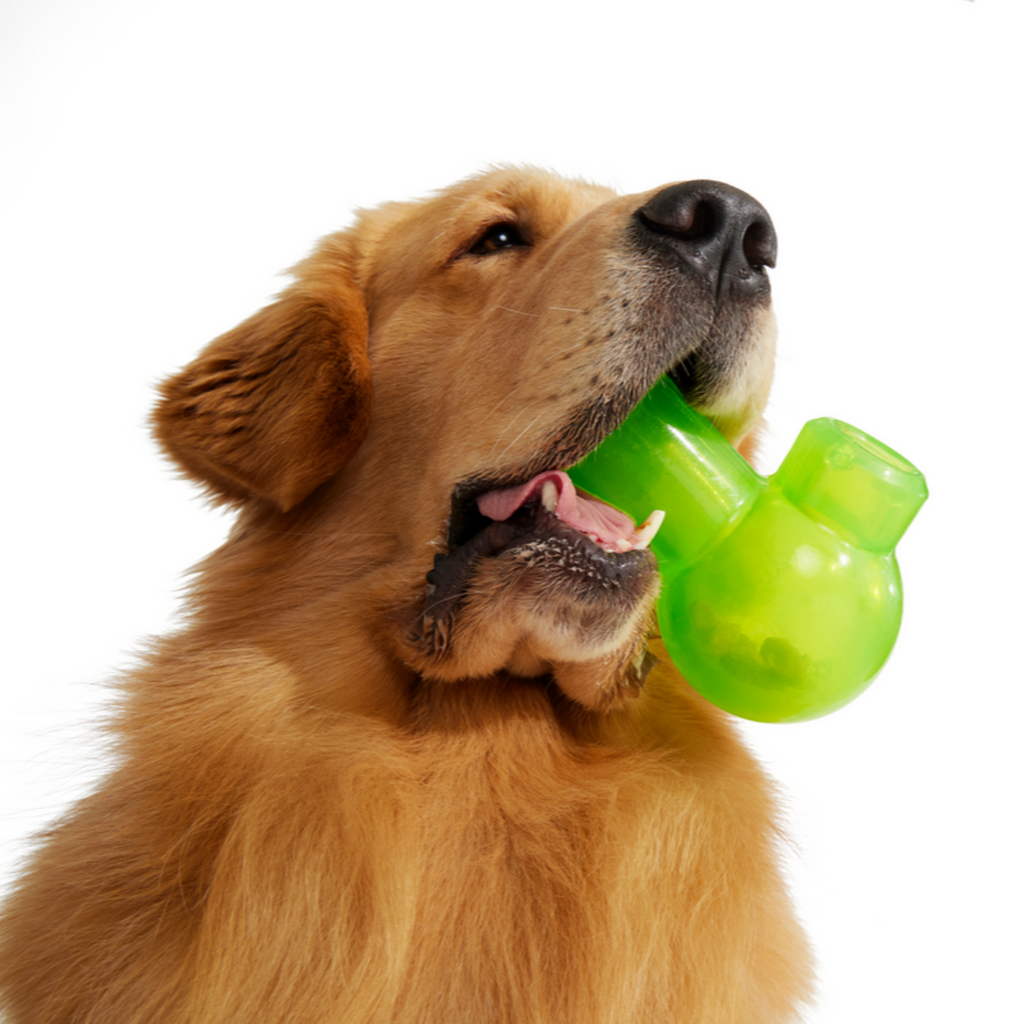 Snack Packed Bong Super Chewer Durable Enrichment Dog Toy